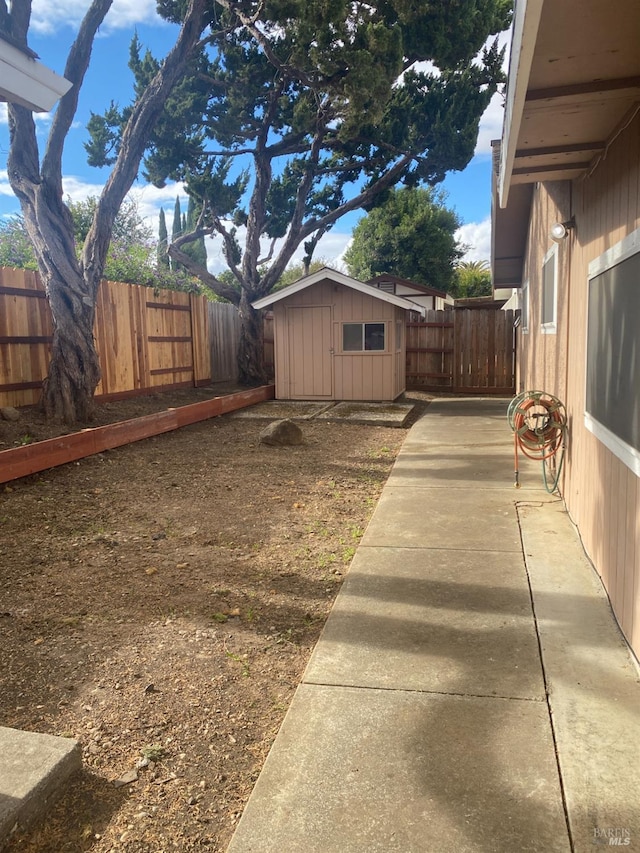 view of yard featuring a storage shed and a patio area