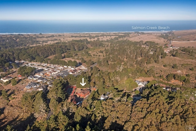 3925 Bay Hill Rd, Bodega Bay, CA 94923 - birds eye view of property with a wooded view