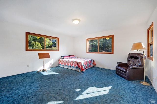 3925 Bay Hill Rd, Bodega Bay, CA 94923 - bedroom featuring carpet floors and multiple windows
