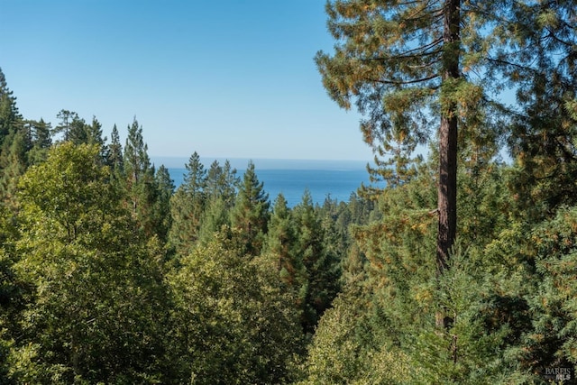 view of landscape featuring a water view