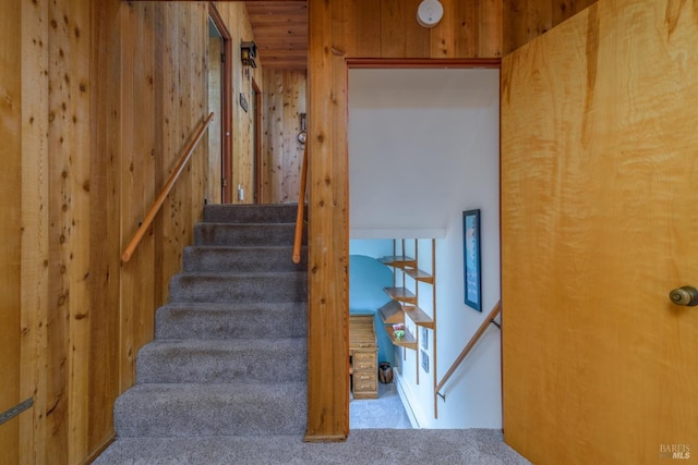 staircase featuring wood walls and carpet flooring