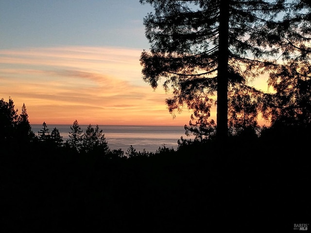 nature at dusk with a water view