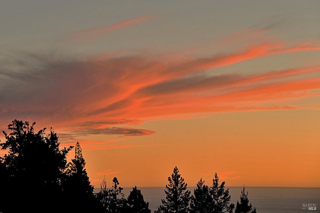 nature at dusk featuring a water view