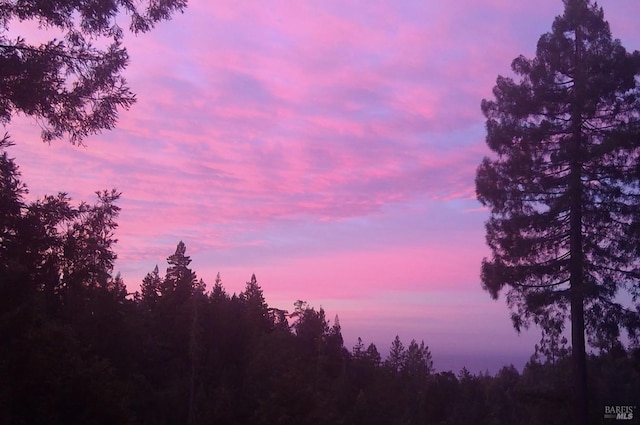 view of nature at dusk