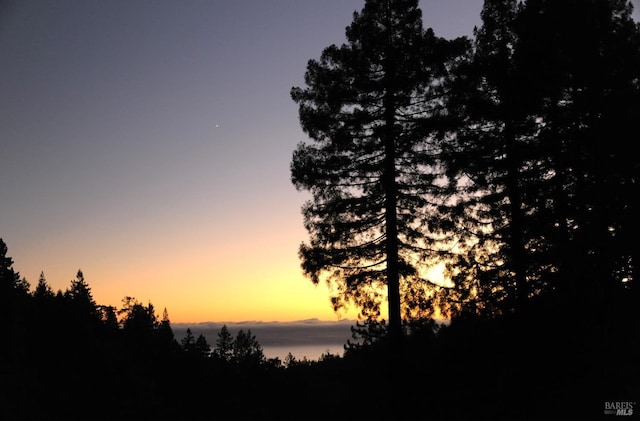 view of nature at dusk