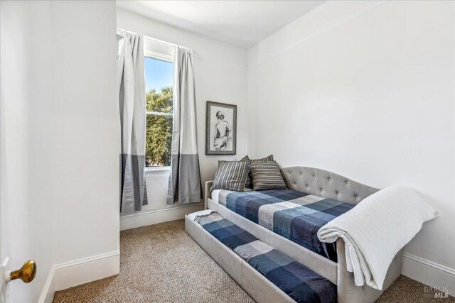 bedroom featuring baseboards and carpet