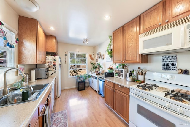 kitchen featuring light wood-type flooring, white appliances, and sink