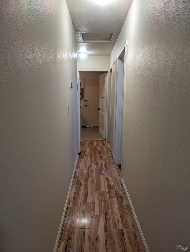 hall with hardwood / wood-style flooring