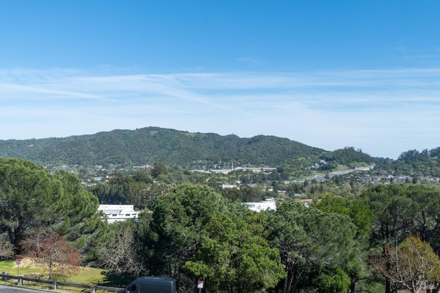 view of mountain feature