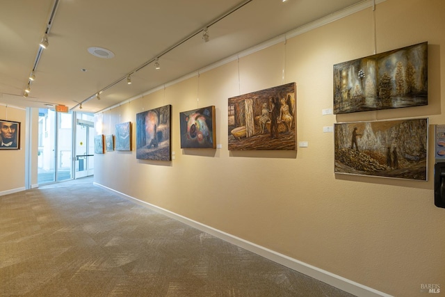 corridor featuring carpet flooring and track lighting