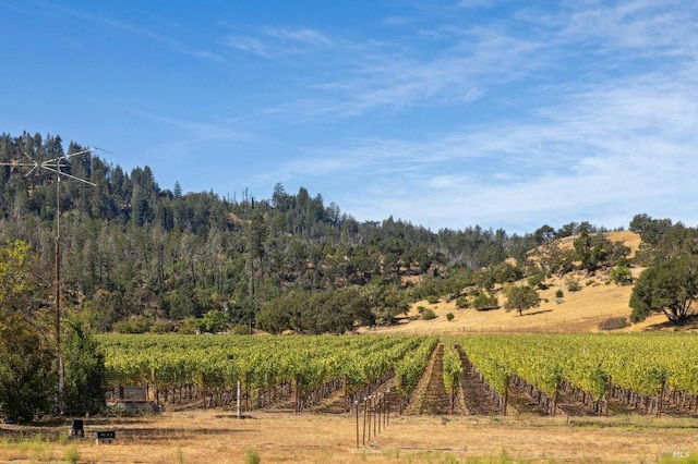 view of nature featuring a rural view