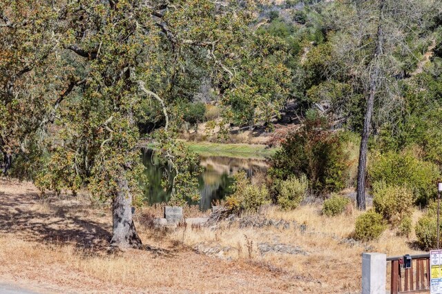 view of landscape with a water view