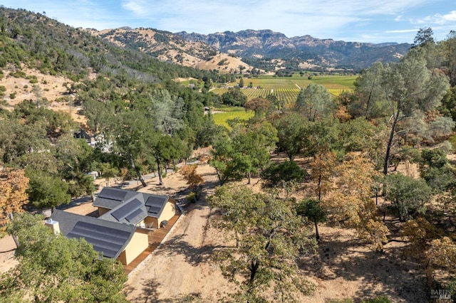 birds eye view of property featuring a mountain view and a rural view