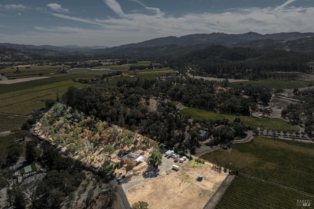 birds eye view of property with a mountain view and a rural view