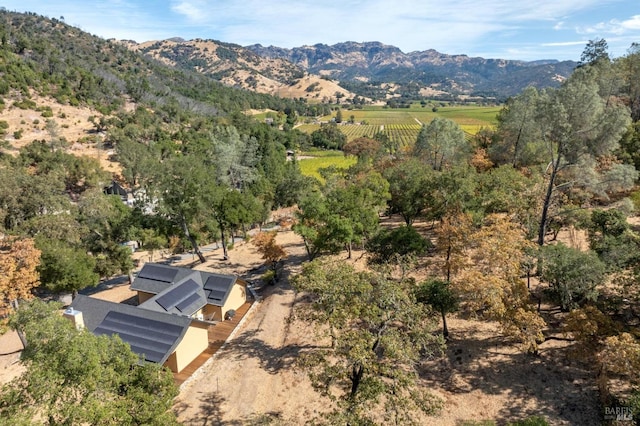 birds eye view of property with a mountain view and a rural view