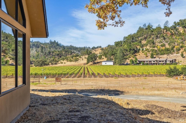 view of yard featuring a rural view