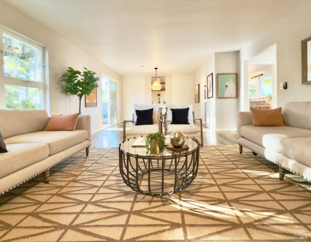 living room featuring light hardwood / wood-style flooring and a healthy amount of sunlight