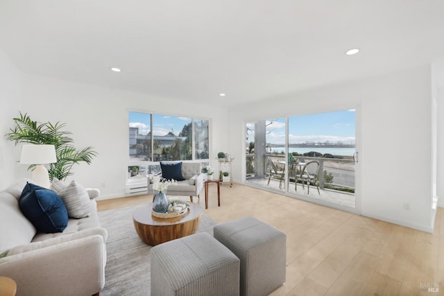 living room featuring a water view, a healthy amount of sunlight, and light hardwood / wood-style flooring