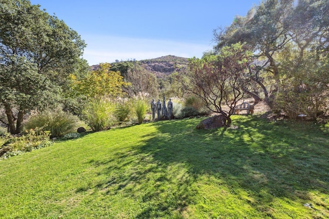 view of yard with a mountain view