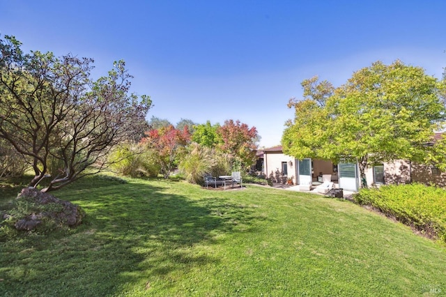 view of yard featuring a patio area