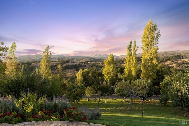 surrounding community featuring a yard and a mountain view