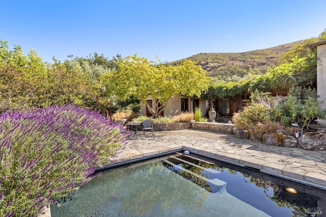 view of yard with a patio and a mountain view