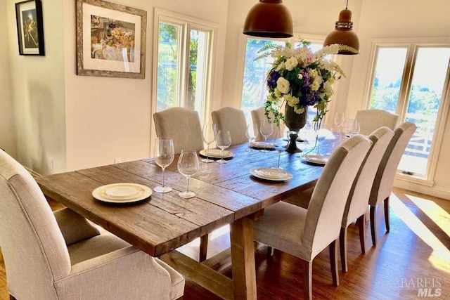 dining space with hardwood / wood-style floors