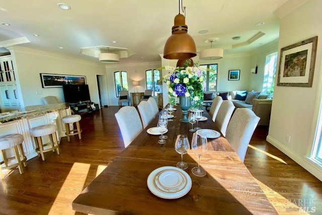 dining room with ornamental molding and dark hardwood / wood-style flooring