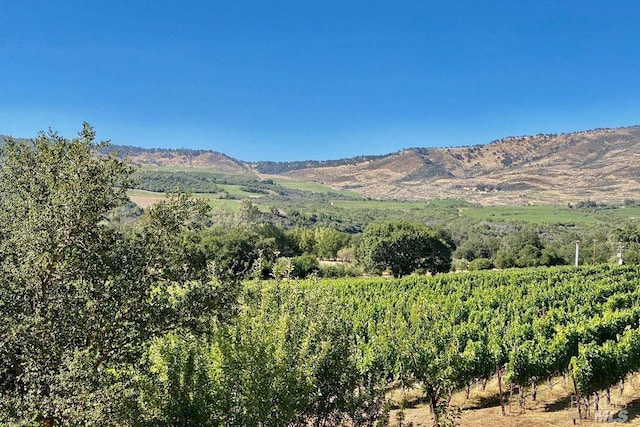 view of mountain feature with a rural view