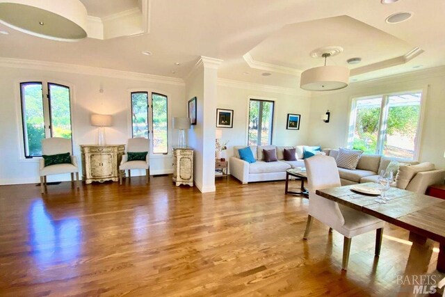 living room with ornamental molding, wood-type flooring, and a raised ceiling