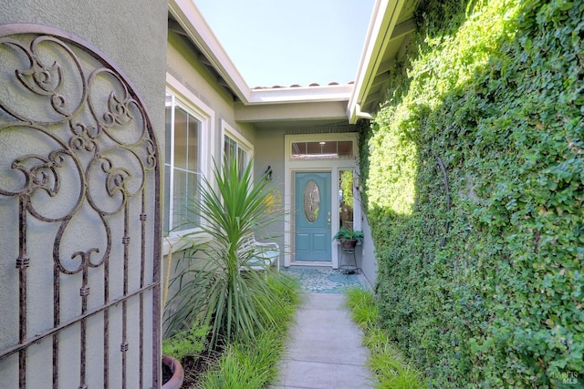 doorway to property featuring stucco siding