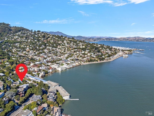 birds eye view of property featuring a water and mountain view