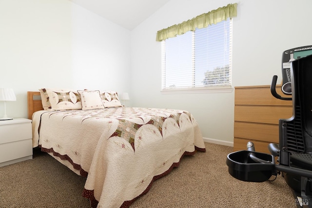 bedroom featuring vaulted ceiling and carpet flooring