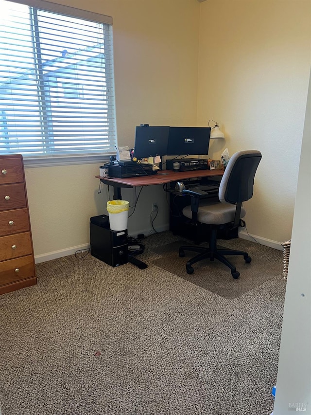 office space with carpet flooring