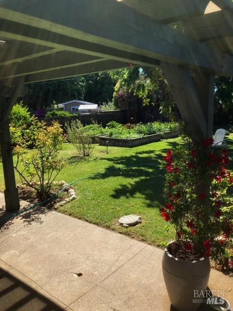 view of yard with a patio area