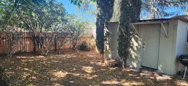 view of yard featuring a storage shed