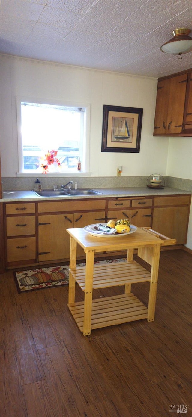 kitchen with plenty of natural light, sink, dark hardwood / wood-style floors, and a textured ceiling