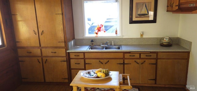 kitchen featuring dark wood-type flooring and sink