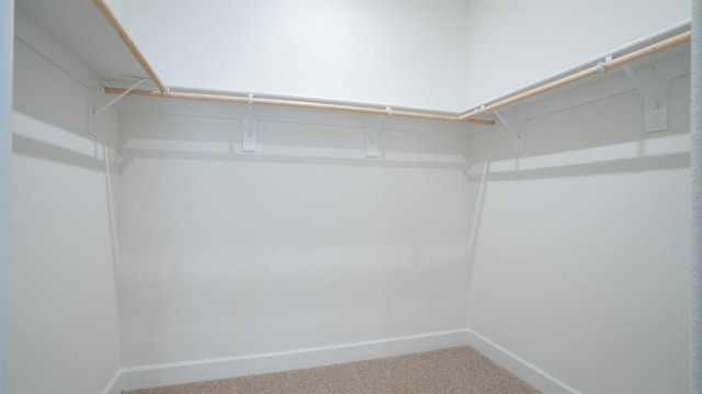 spacious closet with carpet