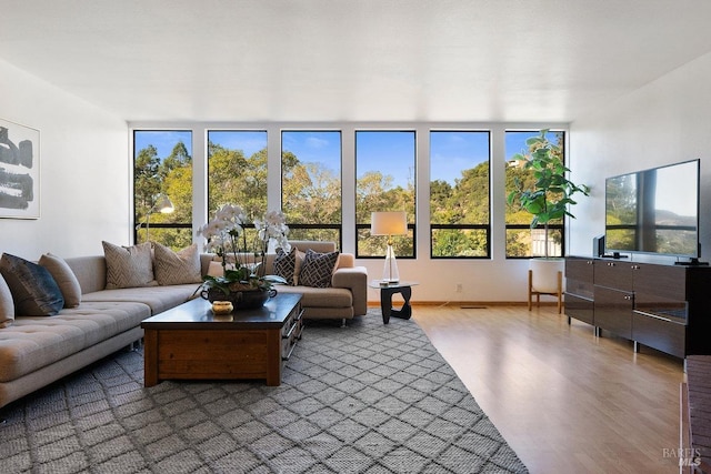 living room featuring hardwood / wood-style flooring and plenty of natural light