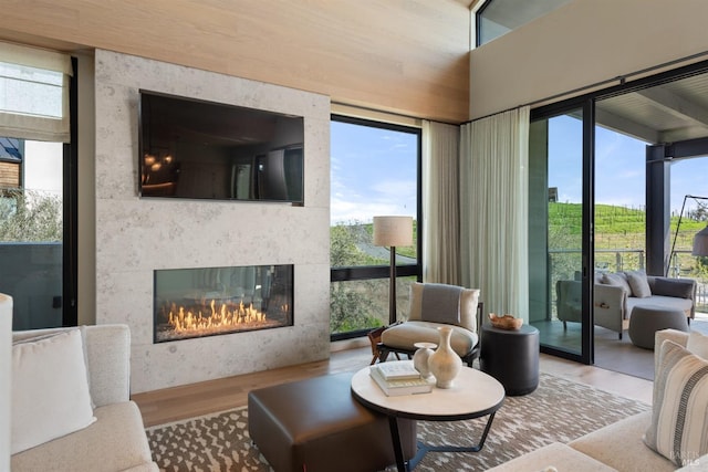 living area featuring a glass covered fireplace, wood finished floors, and plenty of natural light