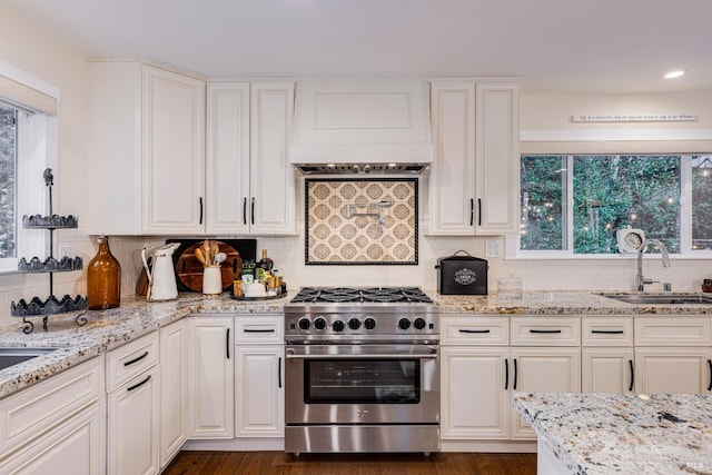 kitchen with decorative backsplash, stainless steel stove, sink, and a wealth of natural light