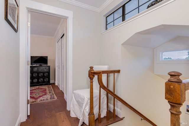 corridor featuring crown molding and dark hardwood / wood-style flooring