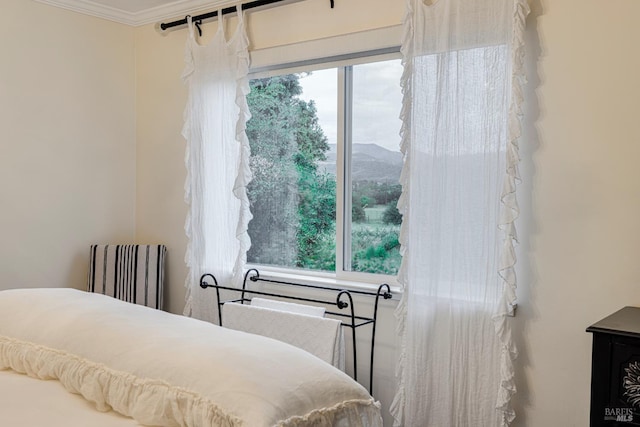 bedroom featuring radiator, a mountain view, ornamental molding, and multiple windows