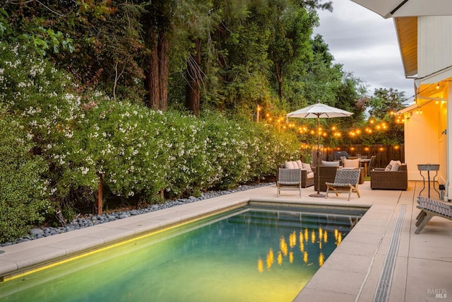 view of pool featuring a patio and an outdoor living space