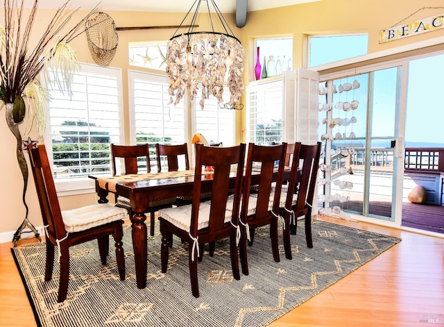 dining space featuring lofted ceiling, hardwood / wood-style flooring, and a healthy amount of sunlight