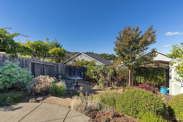 view of yard with a patio area