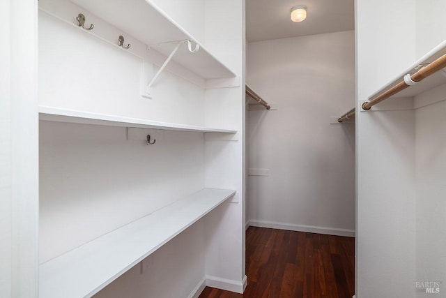 spacious closet featuring dark wood-type flooring