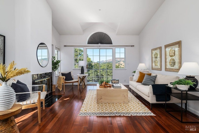 living room featuring high vaulted ceiling and dark hardwood / wood-style flooring