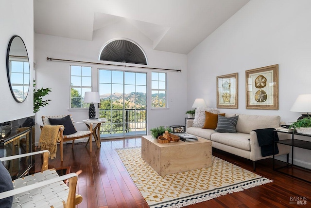 living room featuring a mountain view, high vaulted ceiling, and dark hardwood / wood-style flooring